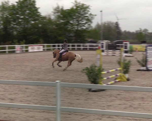 Reitturnier Ladelund 2021