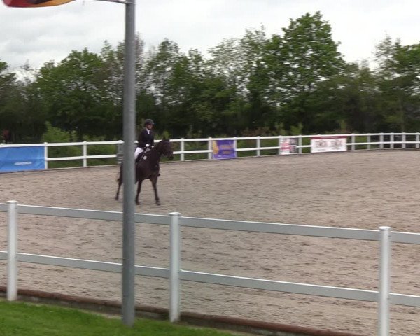 Reitturnier Ladelund 2021