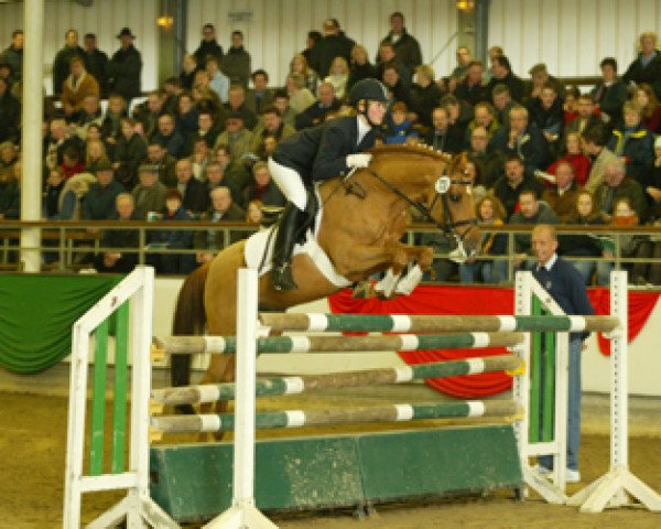stallion Navaro (German Riding Pony, 1986, from Navoy)