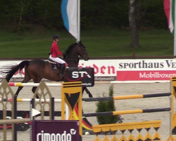 Reitturnier Westergellersen 2021