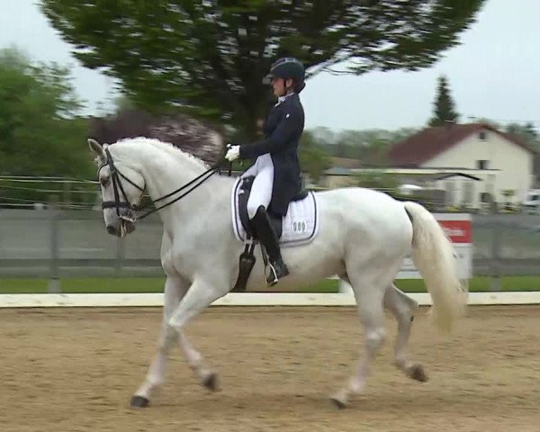 Reitturnier Aulendorf 2021
