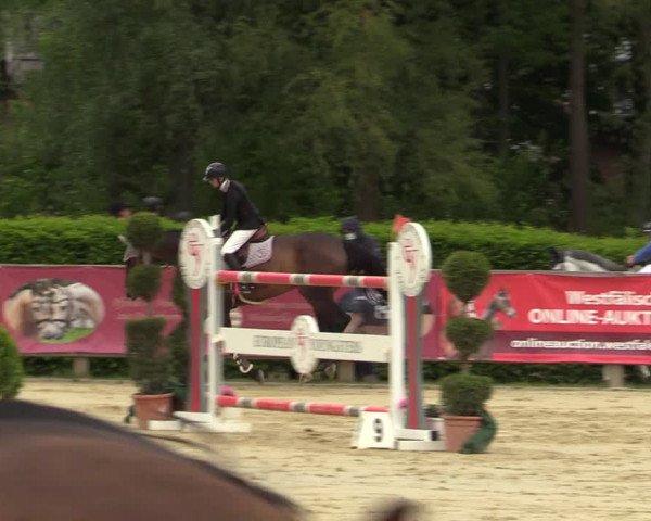 Reitturnier Münster-Handorf 2021