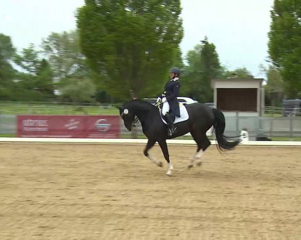 Reitturnier Aulendorf 2021