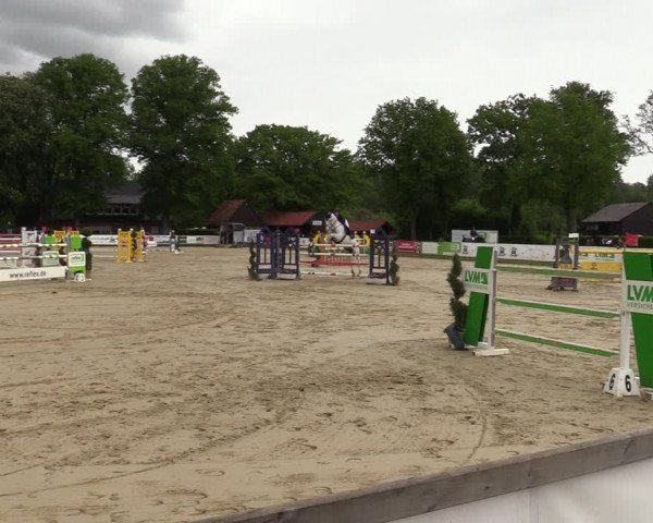 Reitturnier Münster-Handorf 2021