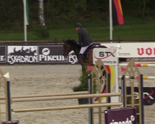 Reitturnier Westergellersen 2021