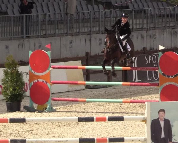Reitturnier Westergellersen 2021