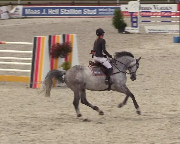 Reitturnier Westergellersen 2021