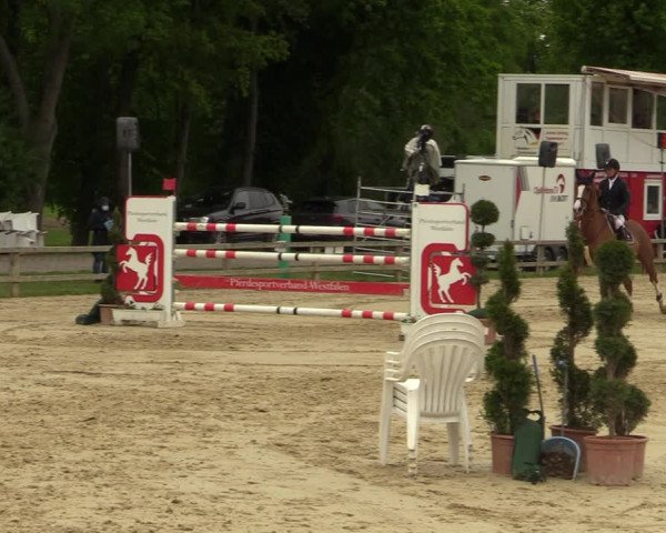 Reitturnier Münster-Handorf 2021