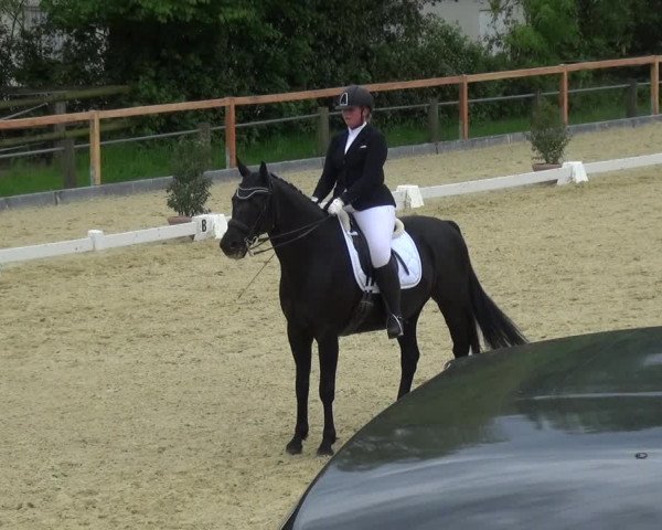 Reitturnier Leichlingen 2021