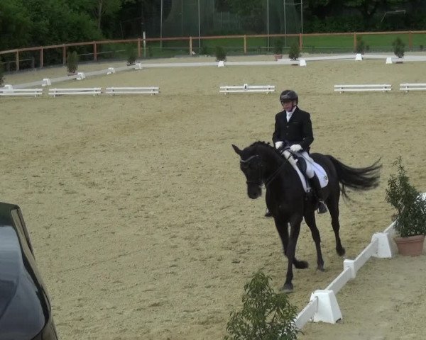 Reitturnier Leichlingen 2021