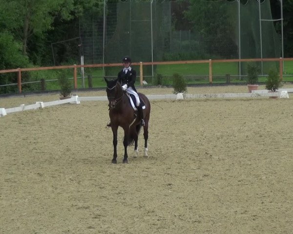Reitturnier Leichlingen 2021