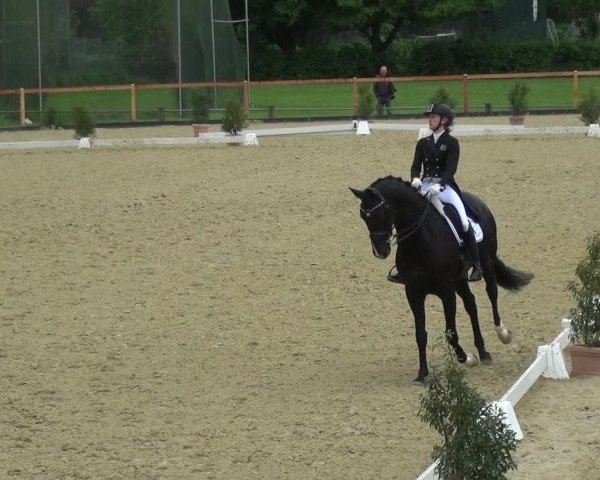 Reitturnier Leichlingen 2021