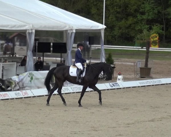 Reitturnier Rastede-Nethen 2021