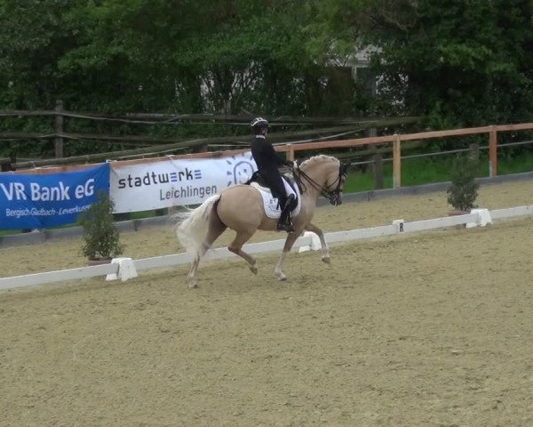 Reitturnier Leichlingen 2021