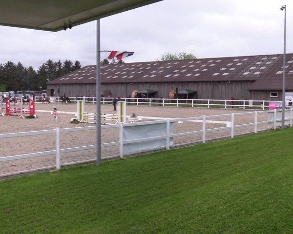 Reitturnier Ladelund 2021