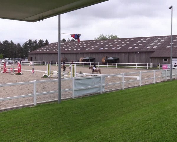 Reitturnier Ladelund 2021
