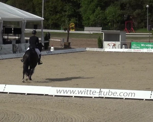 Reitturnier Rastede-Nethen 2021