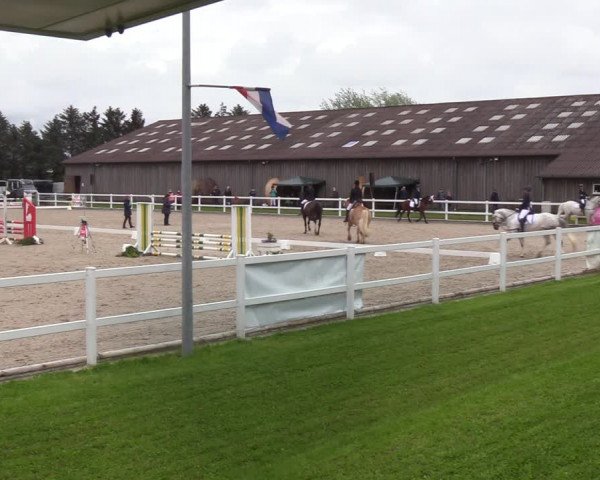 Reitturnier Ladelund 2021