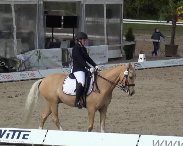 Reitturnier Rastede-Nethen 2021