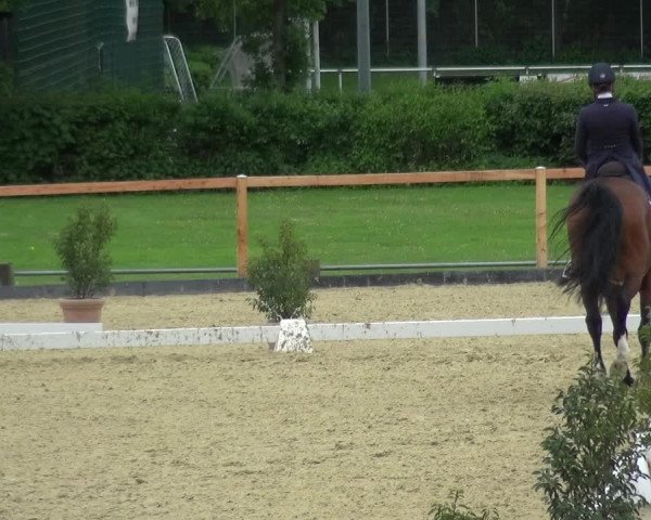 Reitturnier Leichlingen 2021