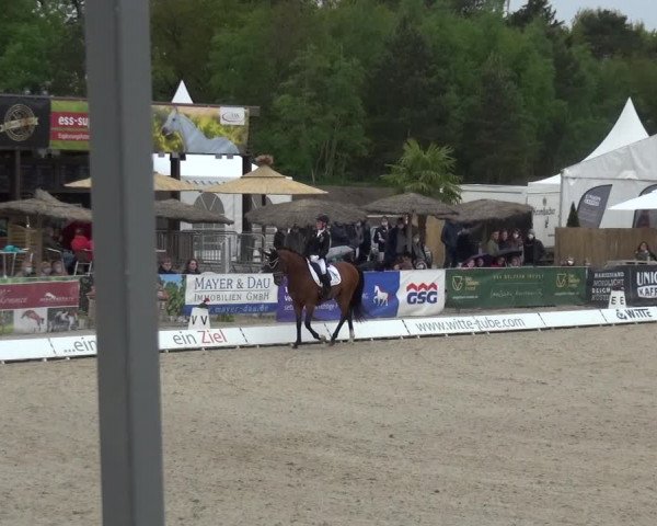 Reitturnier Rastede-Nethen 2021