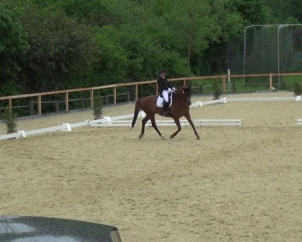 Reitturnier Leichlingen 2021
