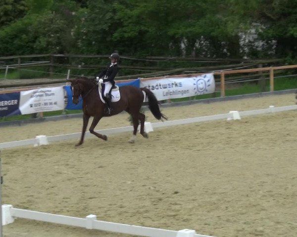 Reitturnier Leichlingen 2021