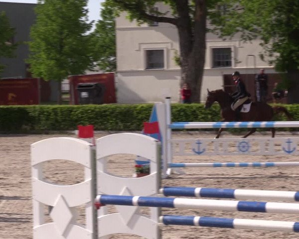 Reitturnier Neustadt/Dosse 2021