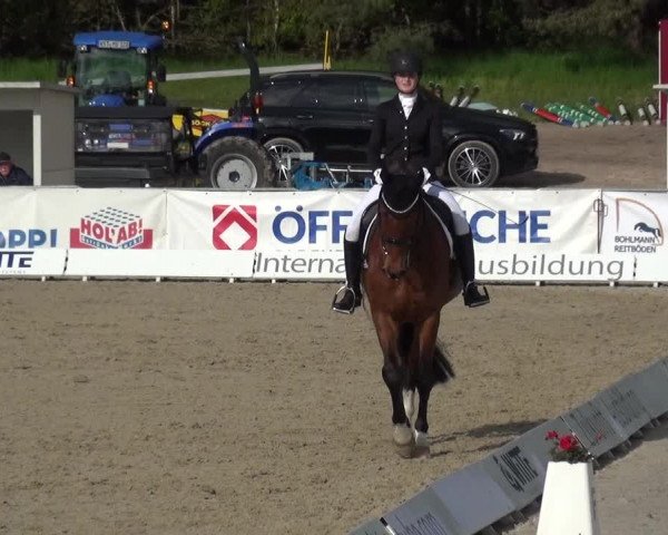 Reitturnier Rastede-Nethen 2021