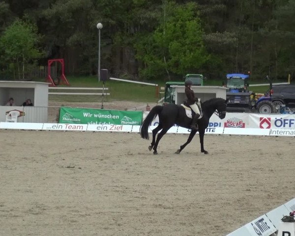 Reitturnier Rastede-Nethen 2021