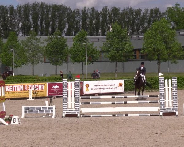 Reitturnier Neustadt/Dosse 2021