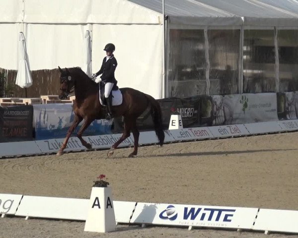 Reitturnier Rastede-Nethen 2021