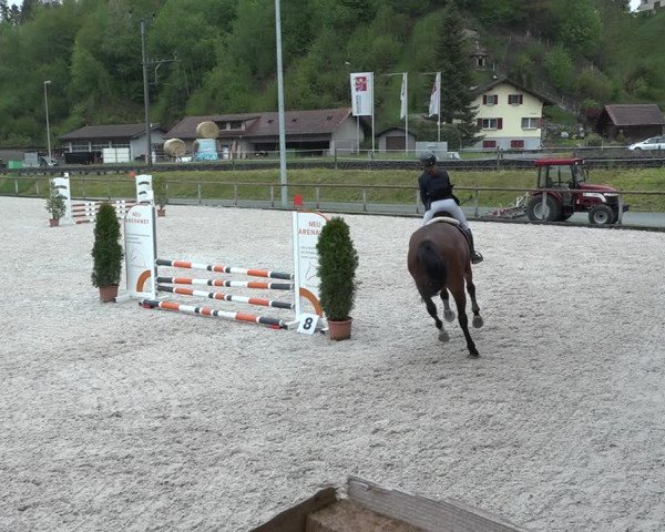 Reitturnier Schüpfheim 2021