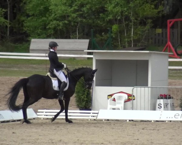 Reitturnier Rastede-Nethen 2021