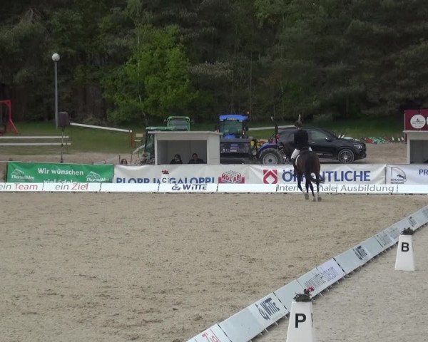 Reitturnier Rastede-Nethen 2021
