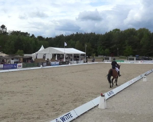 Reitturnier Rastede-Nethen 2021