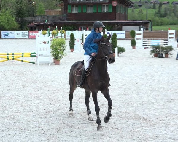 Reitturnier Schüpfheim 2021