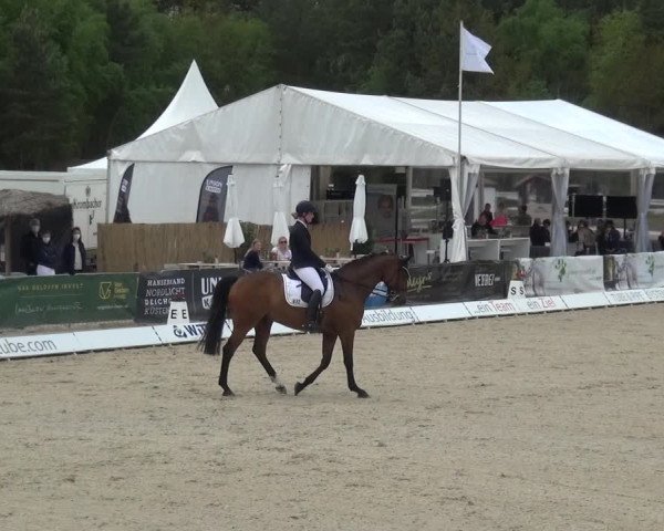 Reitturnier Rastede-Nethen 2021