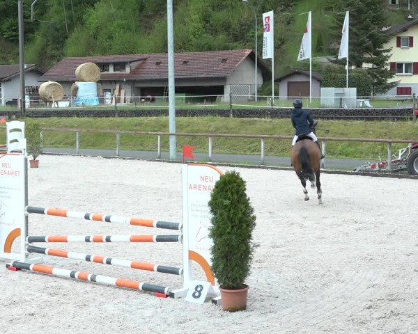Reitturnier Schüpfheim 2021