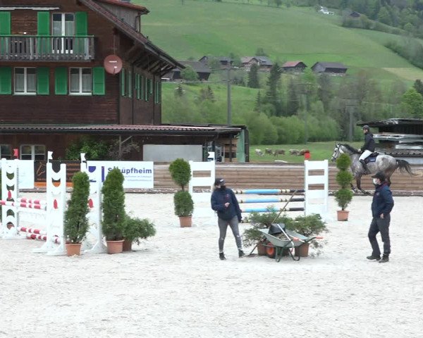 Reitturnier Schüpfheim 2021