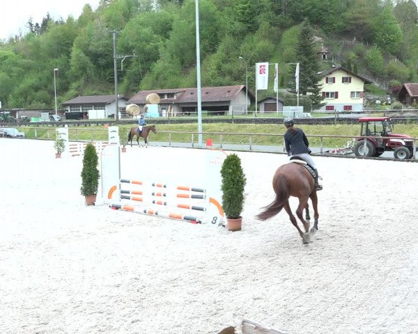 Reitturnier Schüpfheim 2021