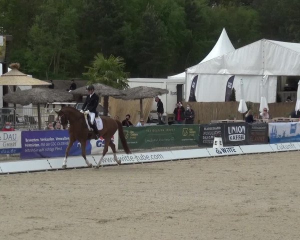 Reitturnier Rastede-Nethen 2021