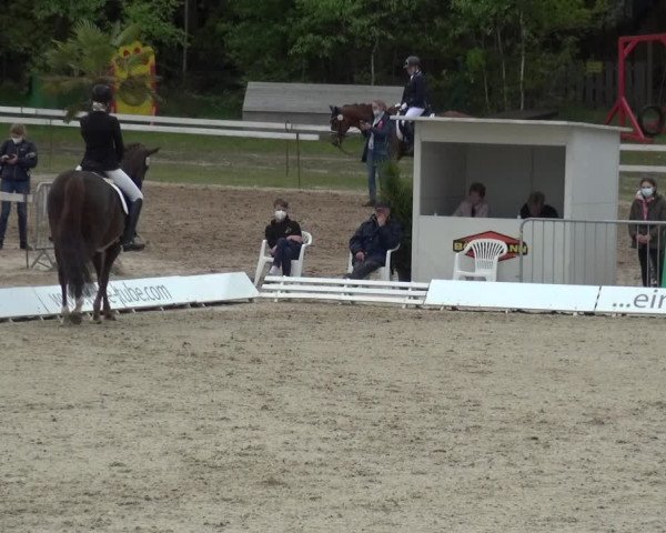 Reitturnier Rastede-Nethen 2021