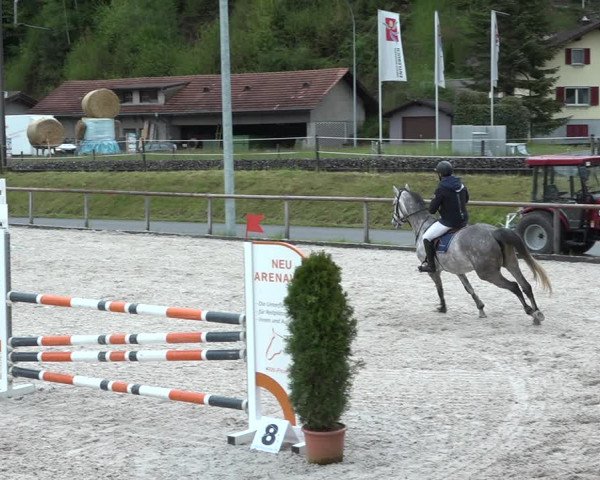 Reitturnier Schüpfheim 2021