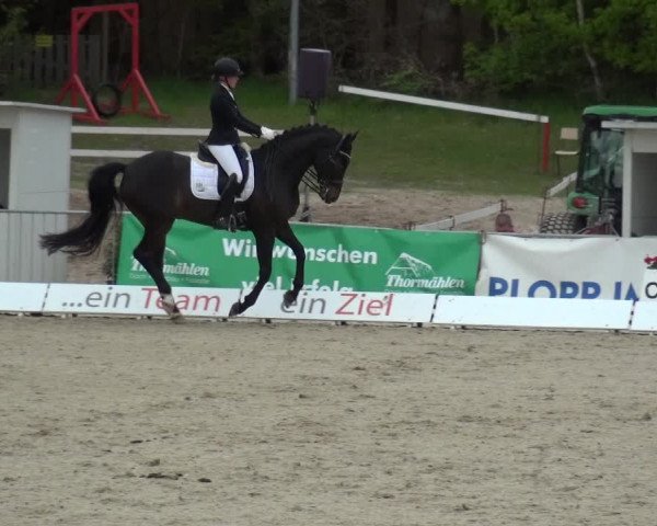 Reitturnier Rastede-Nethen 2021