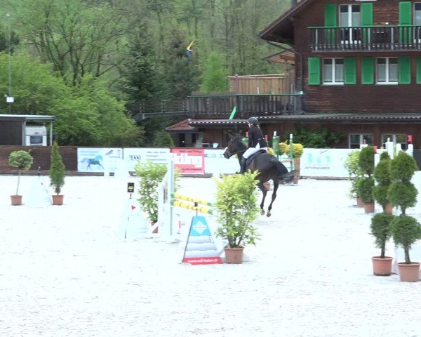 Reitturnier Schüpfheim 2021