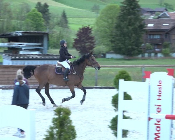 Reitturnier Schüpfheim 2021
