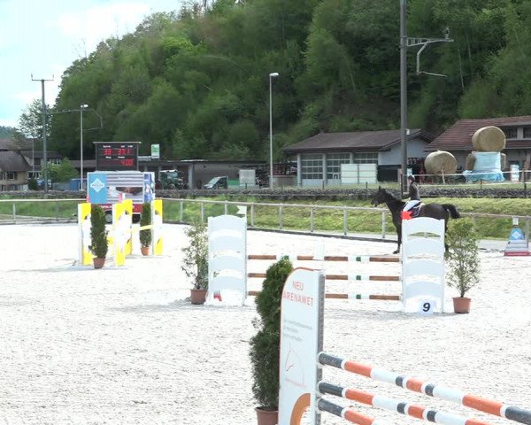 Reitturnier Schüpfheim 2021