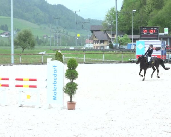 Reitturnier Schüpfheim 2021