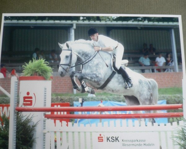 broodmare Fiona (Holsteiner, 1991, from Silbersee)